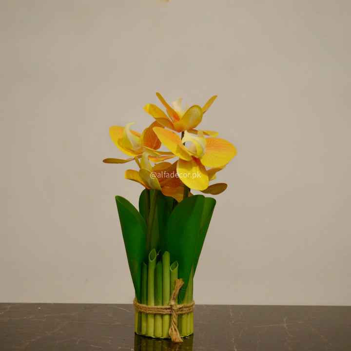 Elegant Yellow Orchids Bliss
