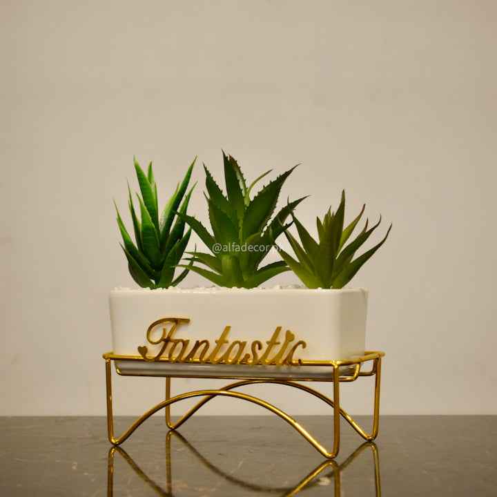 Fantastic Succulent Trio in Golden Stand